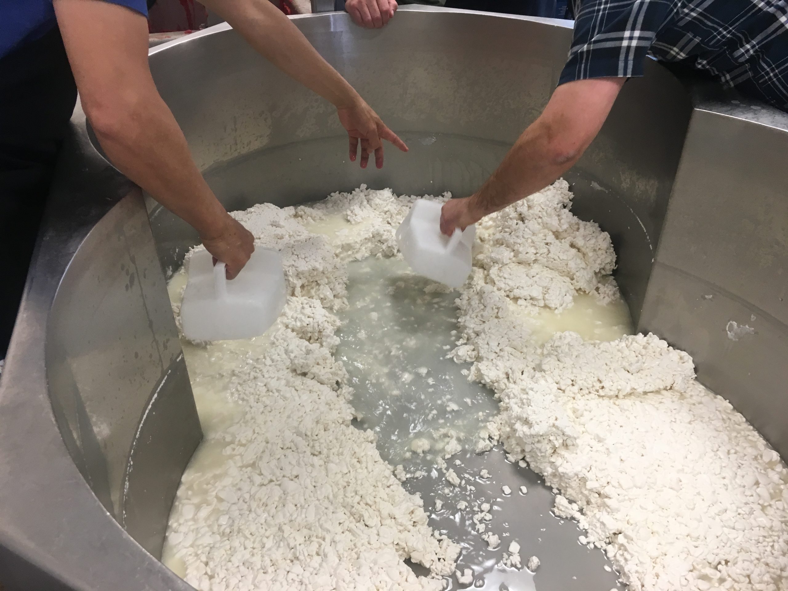 Making-Goat-Cheese-at-Langston-University_2